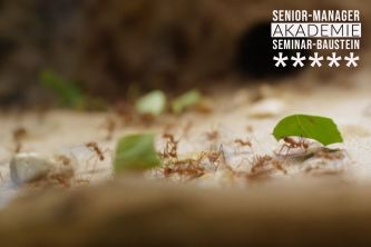 Produktivitätssteigerung