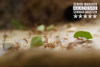 Produktivitätssteigerung