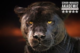 Geschäftsmodell-Analyse