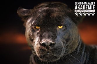 Geschäftsmodell-Analyse