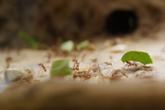 Produktivitätssteigerung